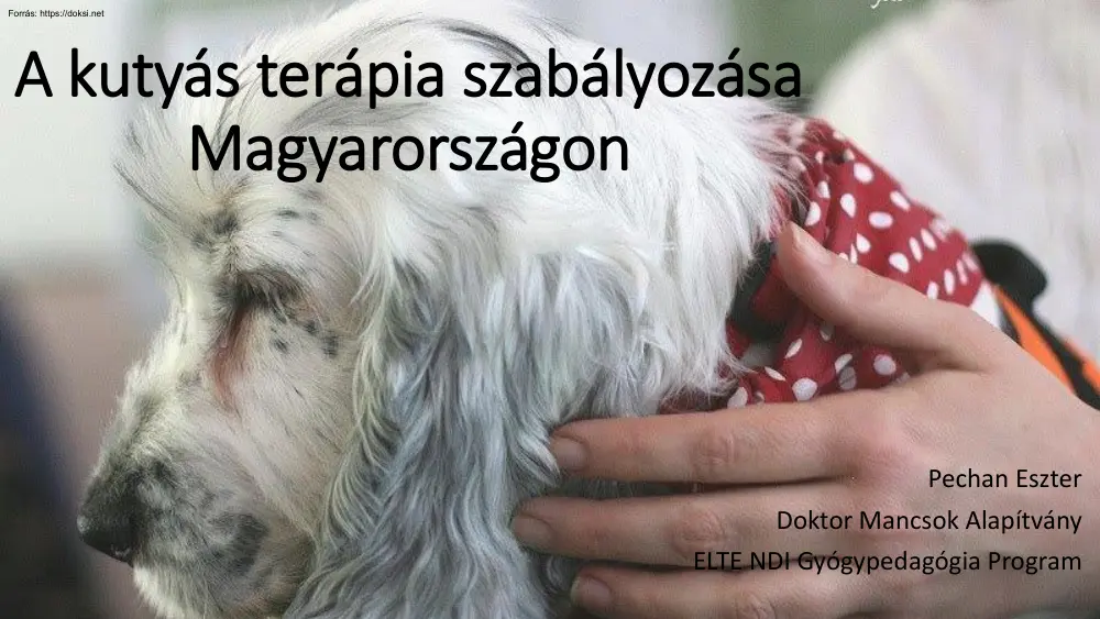 Pechan Eszter - A kutyás terápia szabályozása Magyarországon