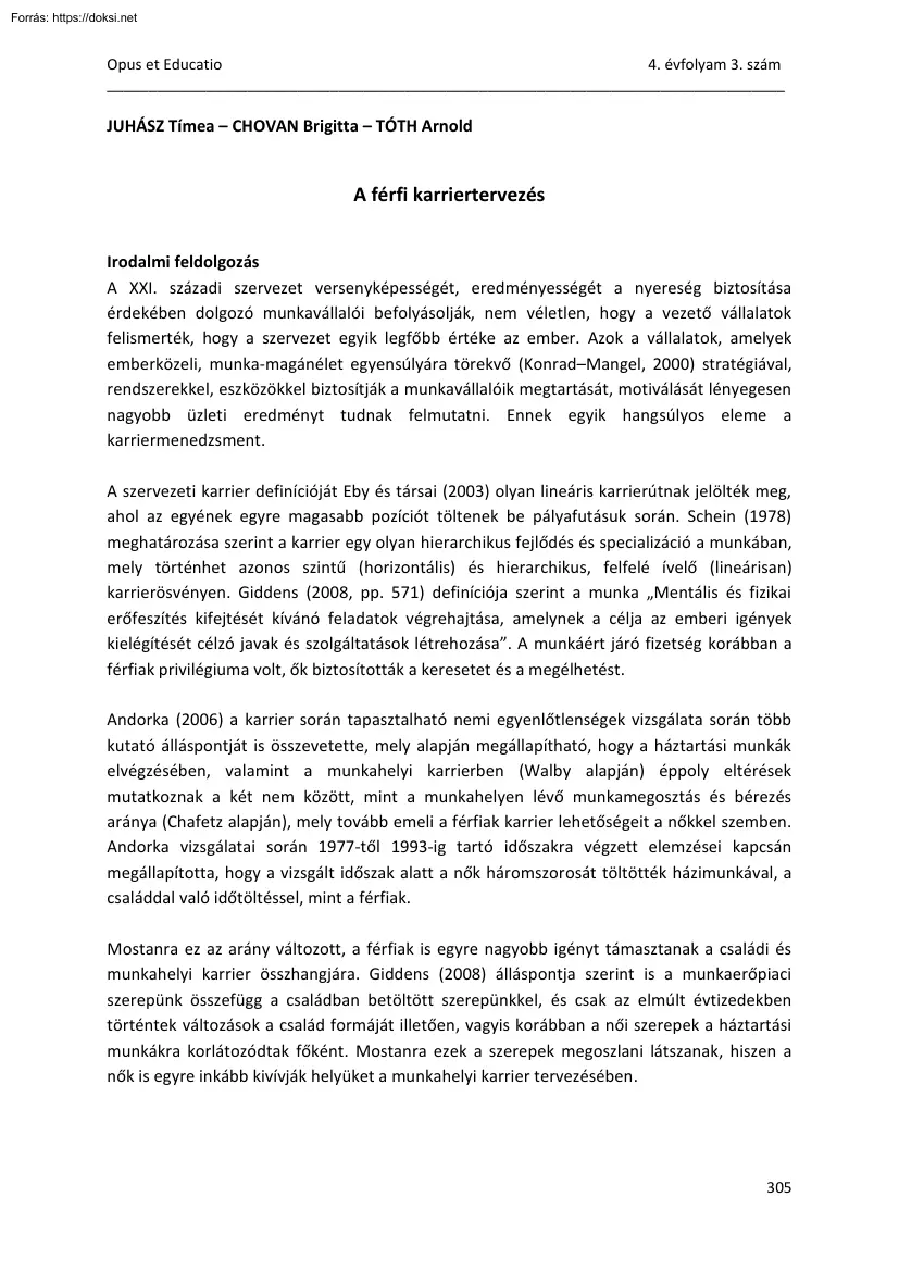 A férfi karriertervezés