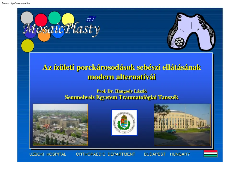 Dr. Hangody László - Az ízületi porckárosodások sebészi ellátásának modern alternatívái