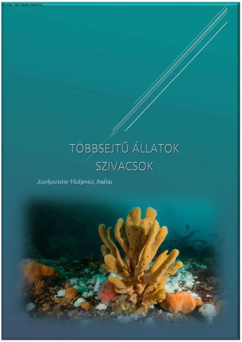 Vizkievicz András - Többsejtű állatok, szivacsok