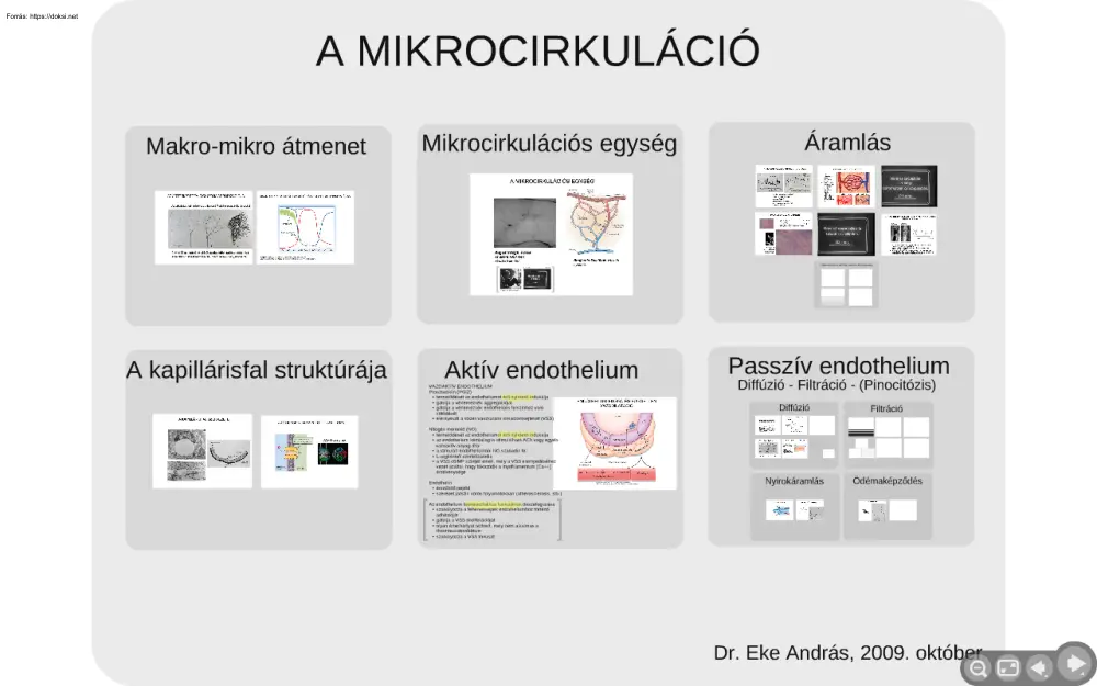 Dr. Eke András - A mikrocirkuláció