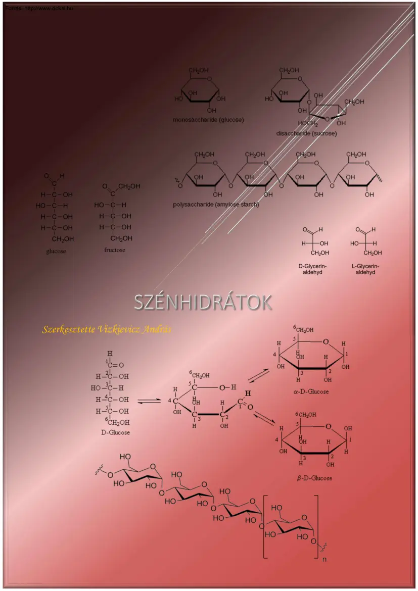 Vizkievicz András - Szénhidrátok