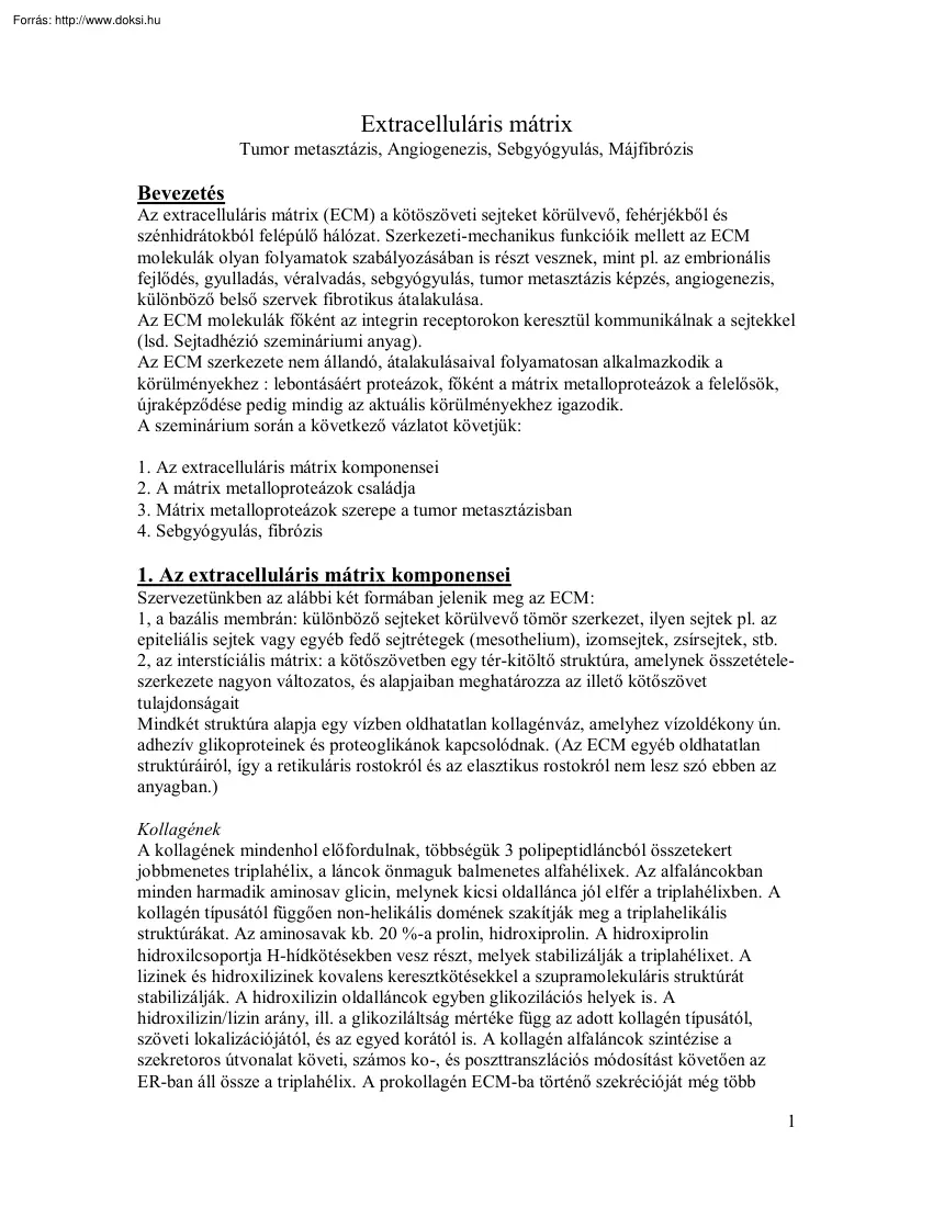 Extracelluláris mátrix