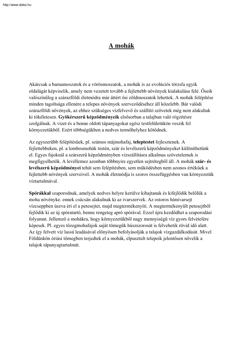 A mohák