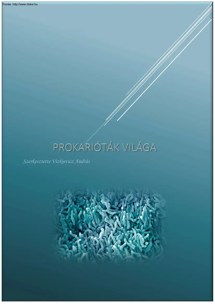 Vizkievicz András - Prokarióták világa