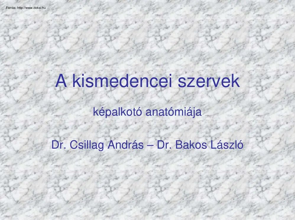 Dr. Csillag-Dr. Bakos - A kismedencei szervek képalkotó anatómiája