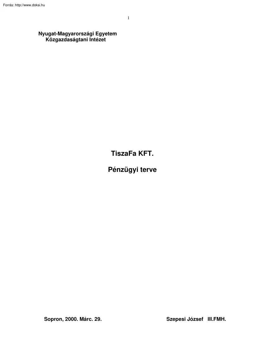 Szepesi József - A TiszaFa Kft. pénzügyi terve