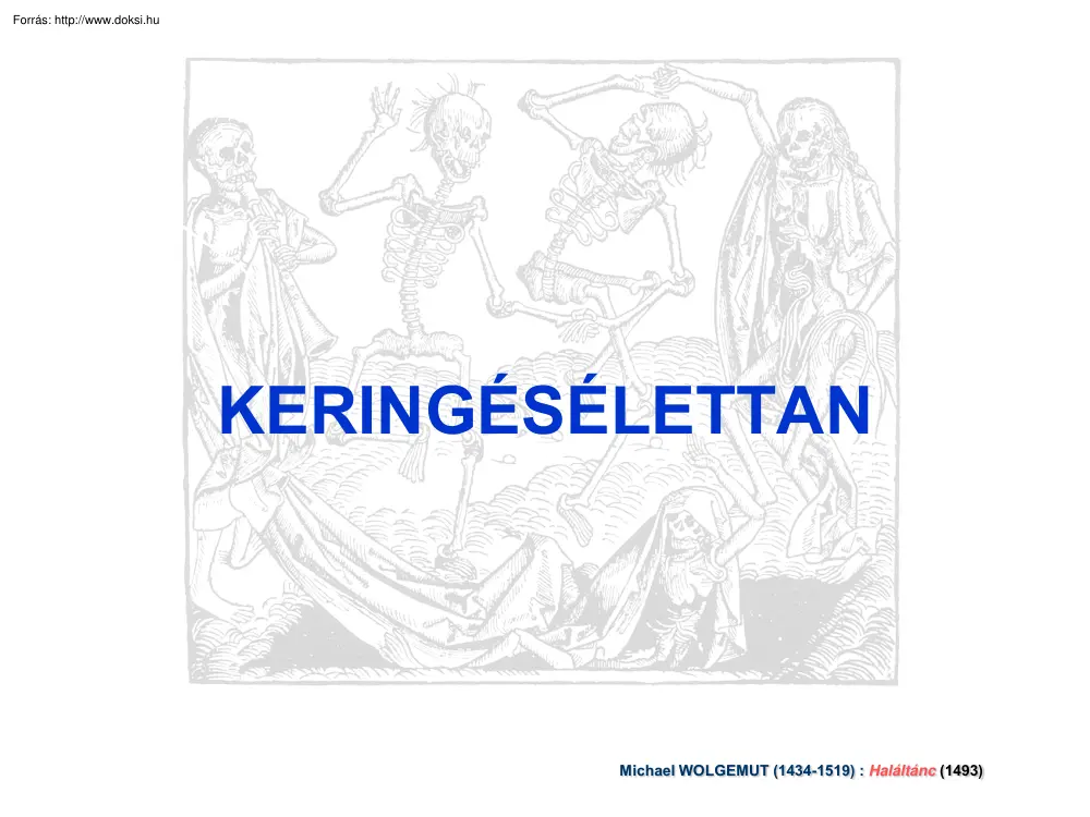 A keringésélettan