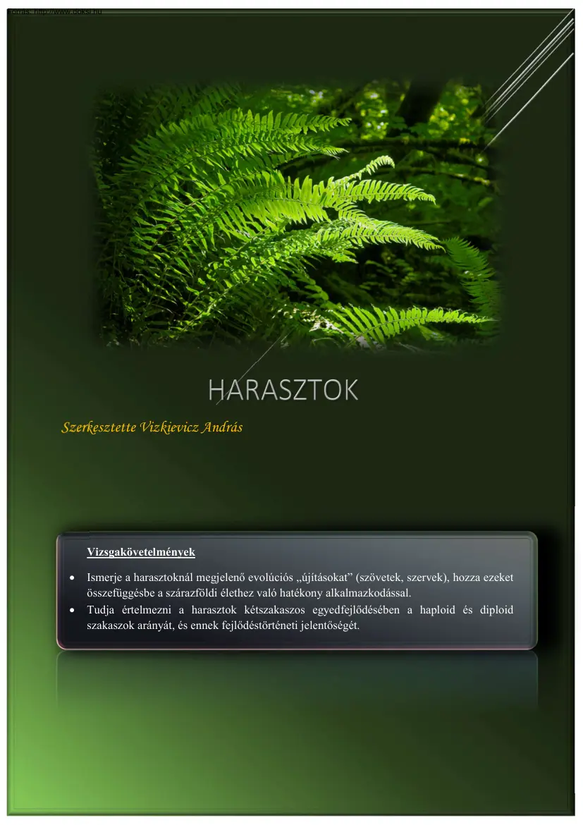 Vizkievicz András - Harasztok