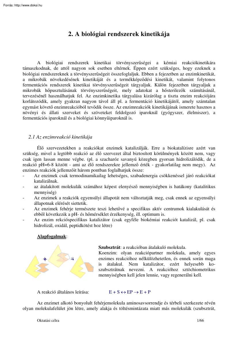 A biológiai rendszerek kinetikája
