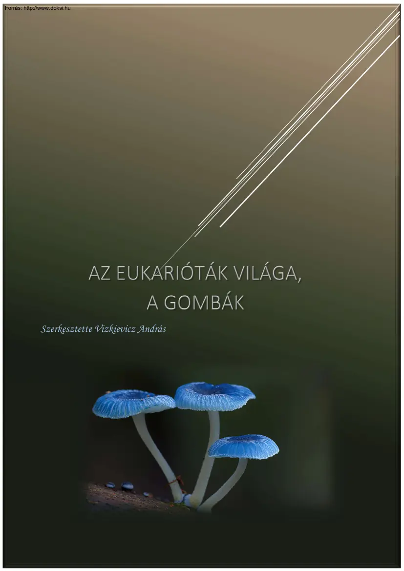 Vizkievicz András - Az Eukarióták világa, a gombák