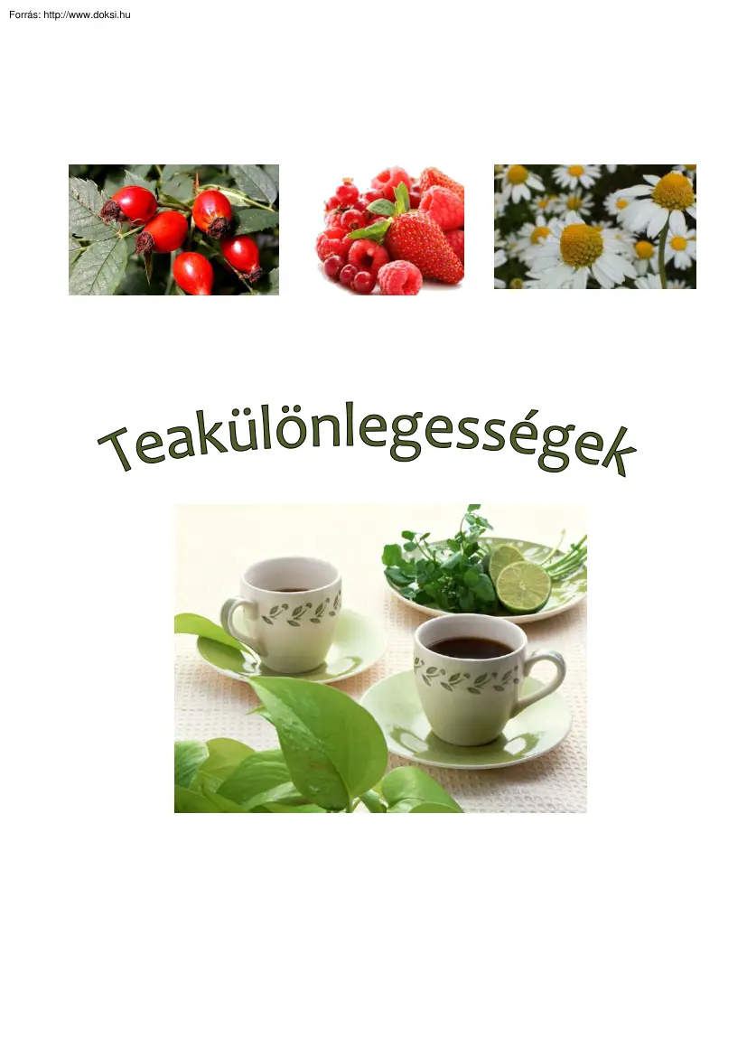 Bodnár Eszter Rita - Teakülönlegességek