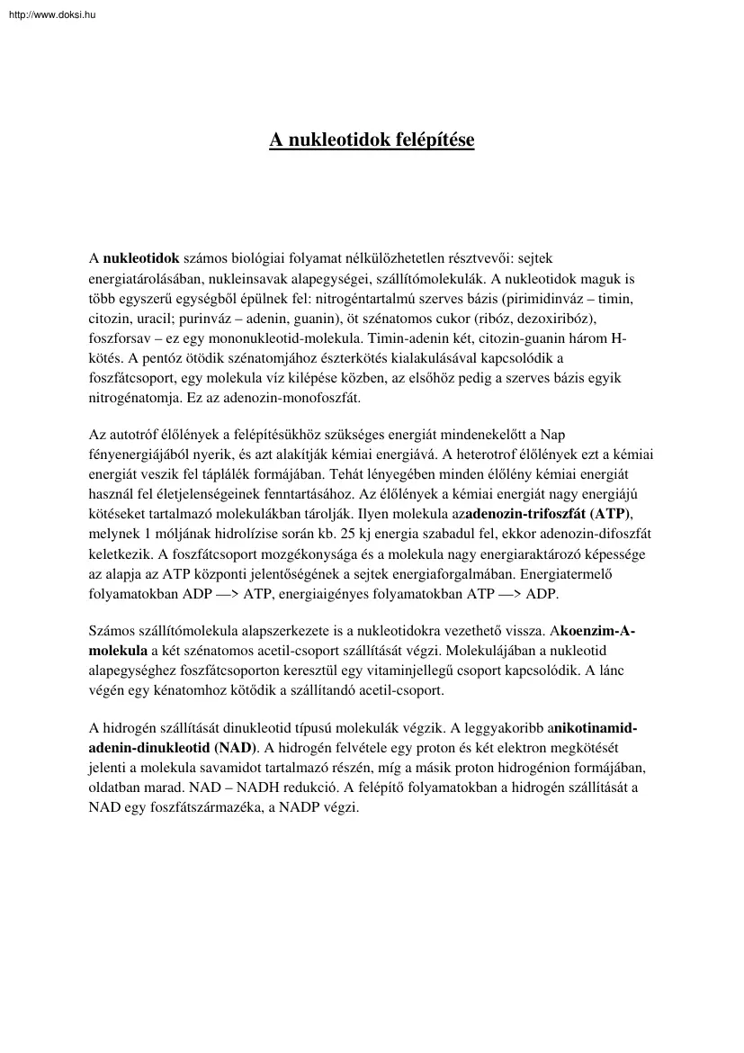 A nukleotidok felépítése