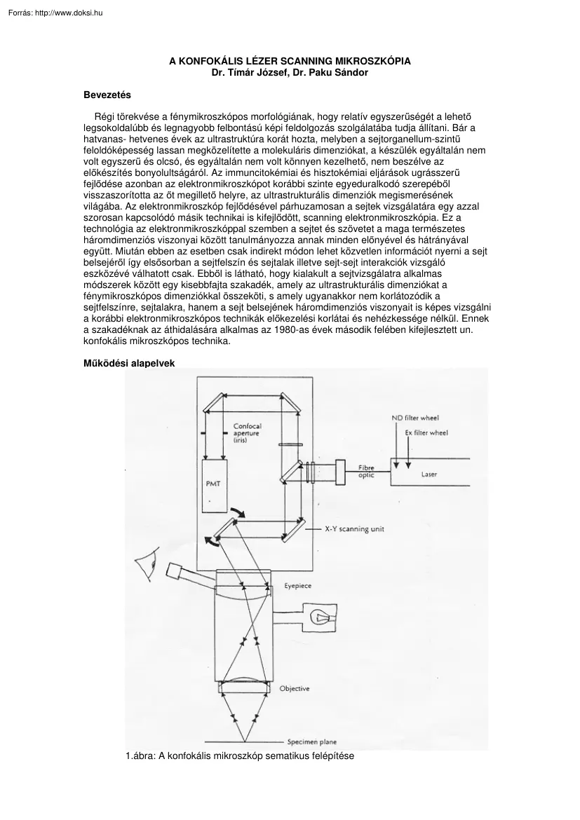 Dr. Tímár-Dr. Paku - A konfokális lézer scanning mikroszkópia