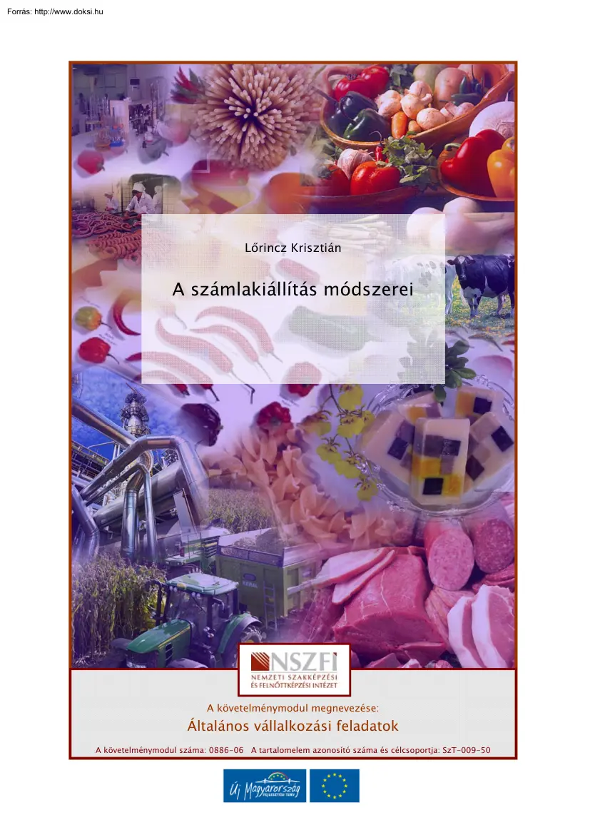 Lőrincz Krisztián - A számlakiállítás módszerei