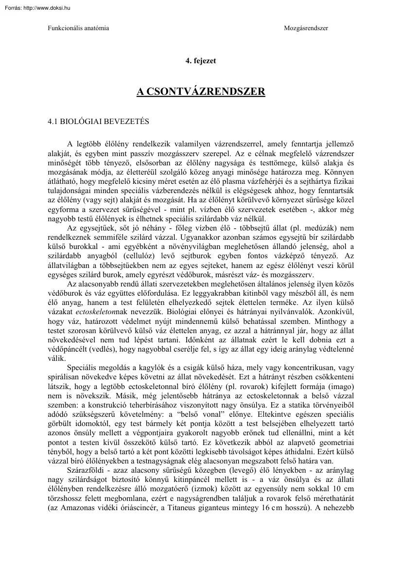 A csontvázrendszer
