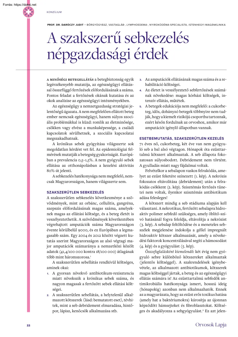 Prof. Dr. Daróczy Judit - A szakszerű sebkezelés népgazdasági érdek