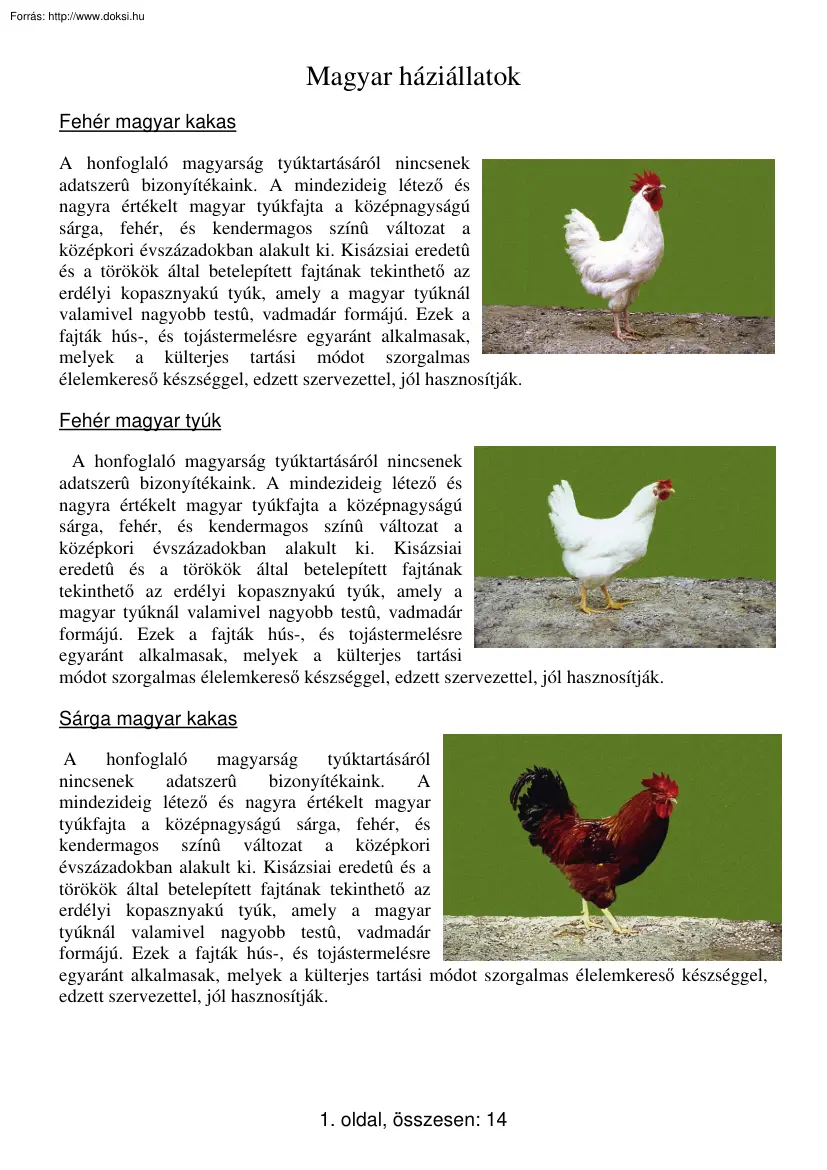 Magyar háziállatok