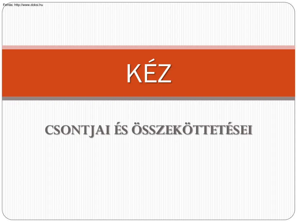 Kéz csontjai és összekötései