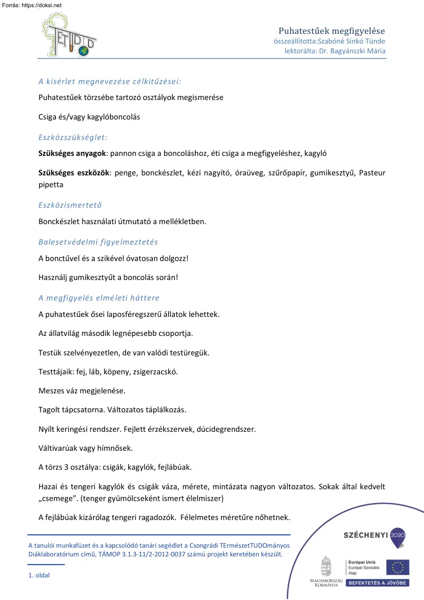 Szabóné Sinkó Tünde - Puhatestűek megfigyelése