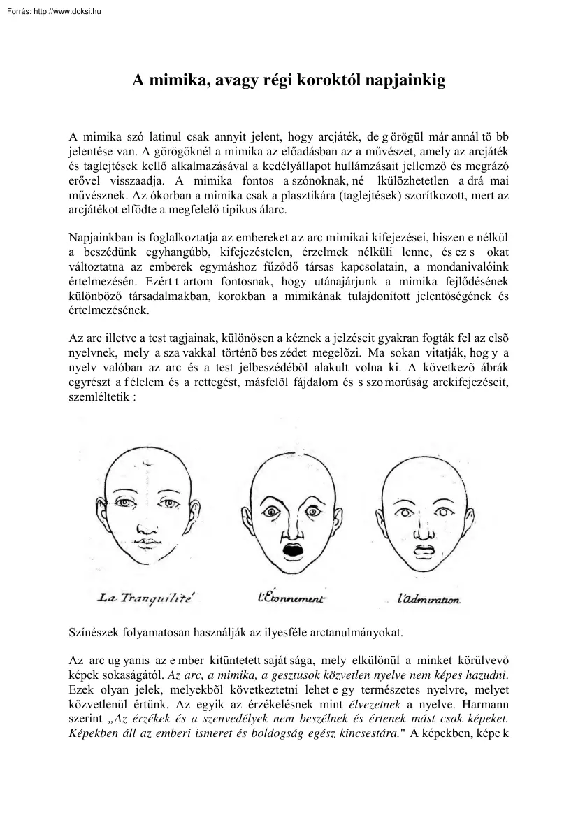 Bulátkó Erika - A mimikáról