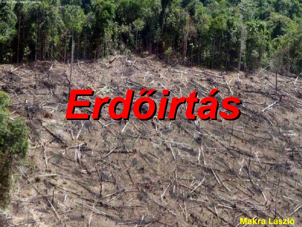 Makra László - Erdőirtás