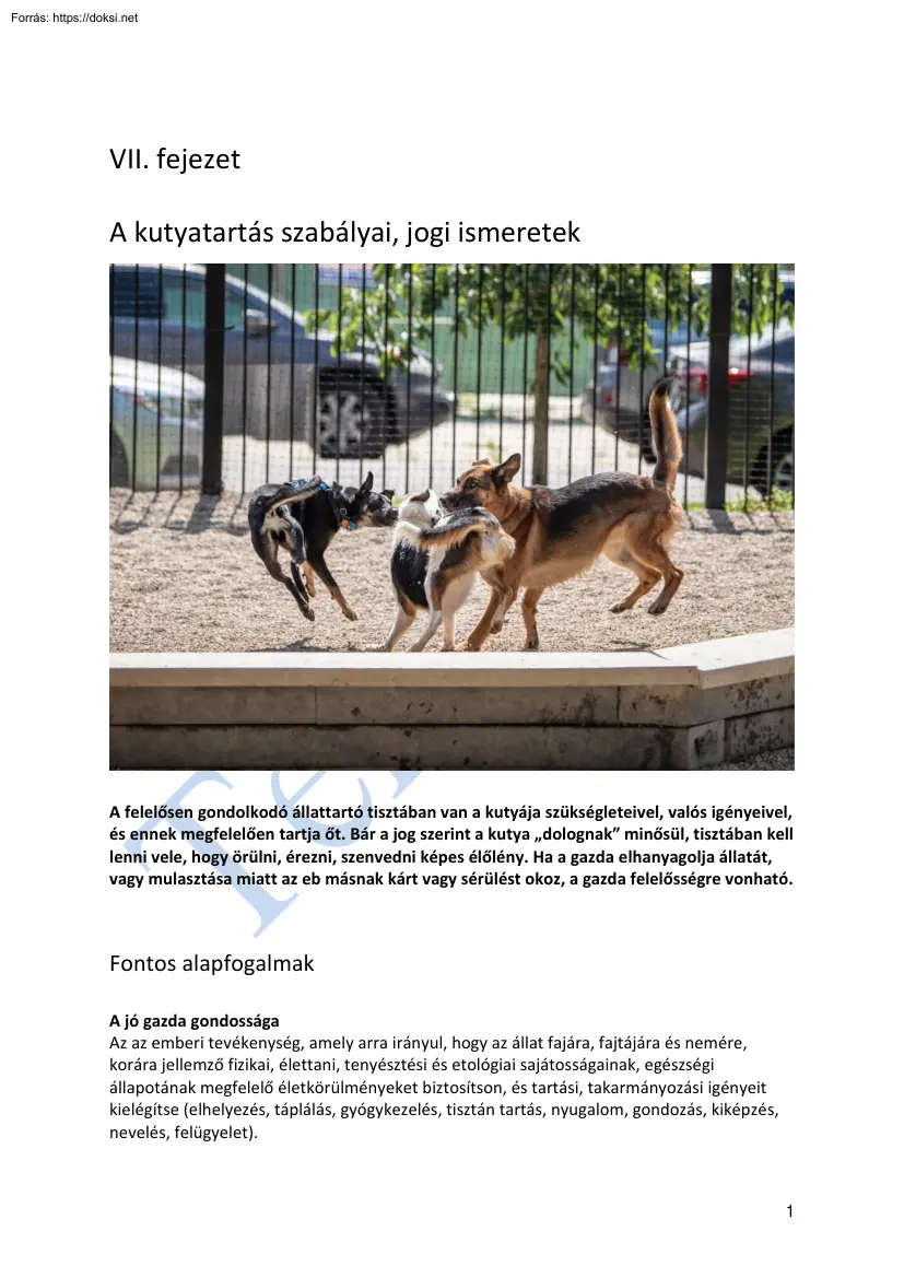A kutyatartás szabályai, jogi ismeretek