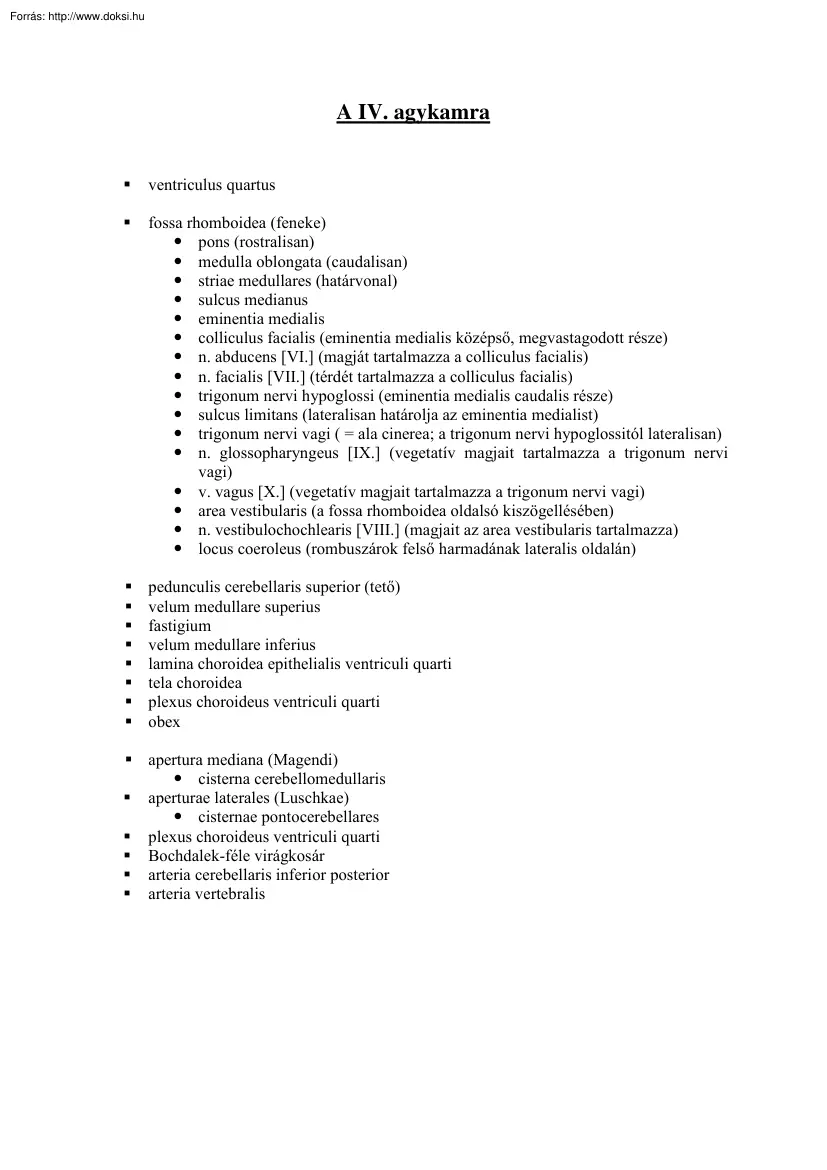 A IV. agykamra