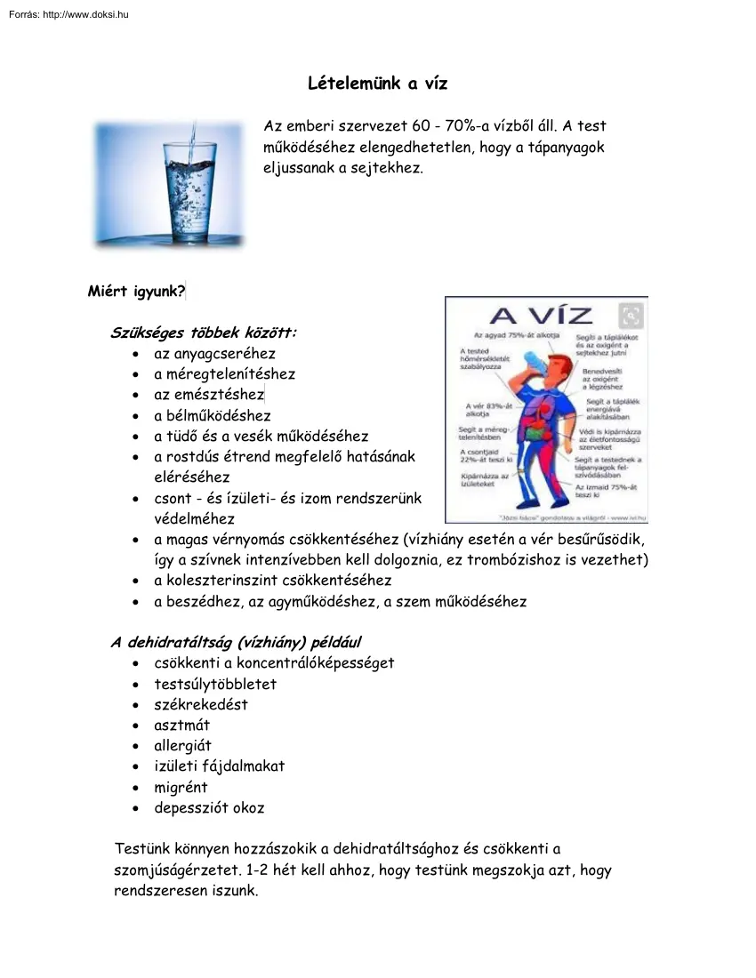 Csavajda Istvánné - Lételemünk a víz