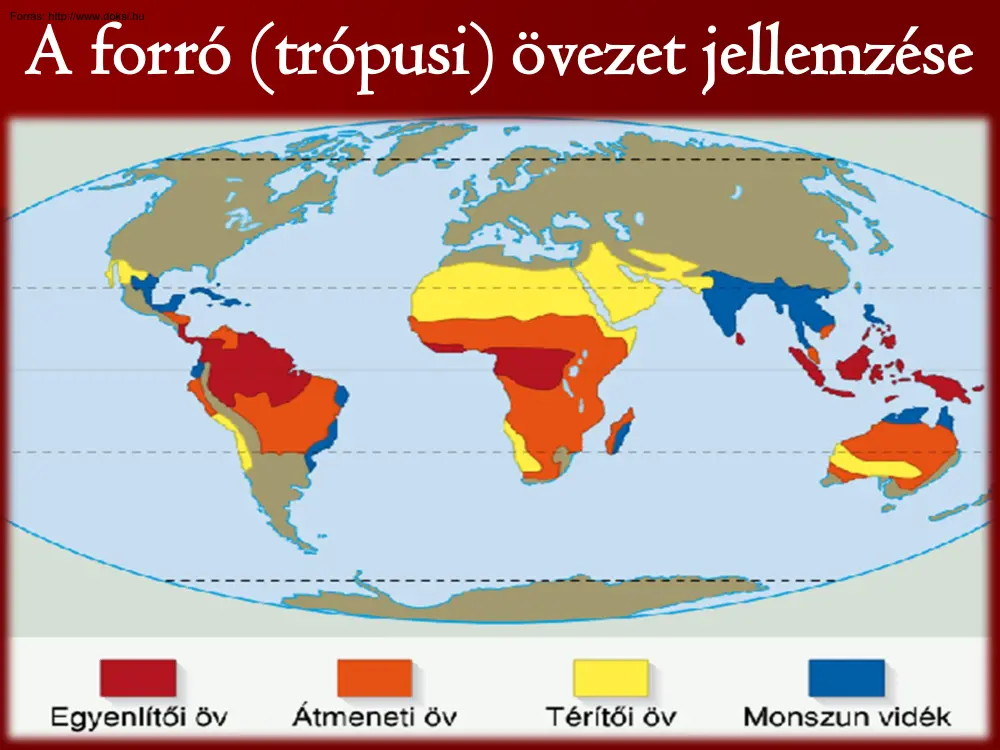 A forró (trópusi) övezet jellemzése