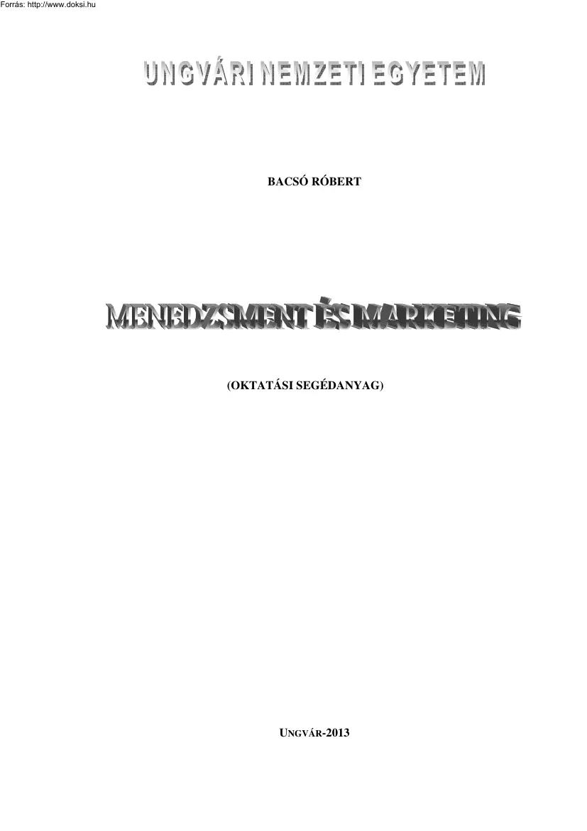 Bacsó Róbert - Menedzsment és marketing