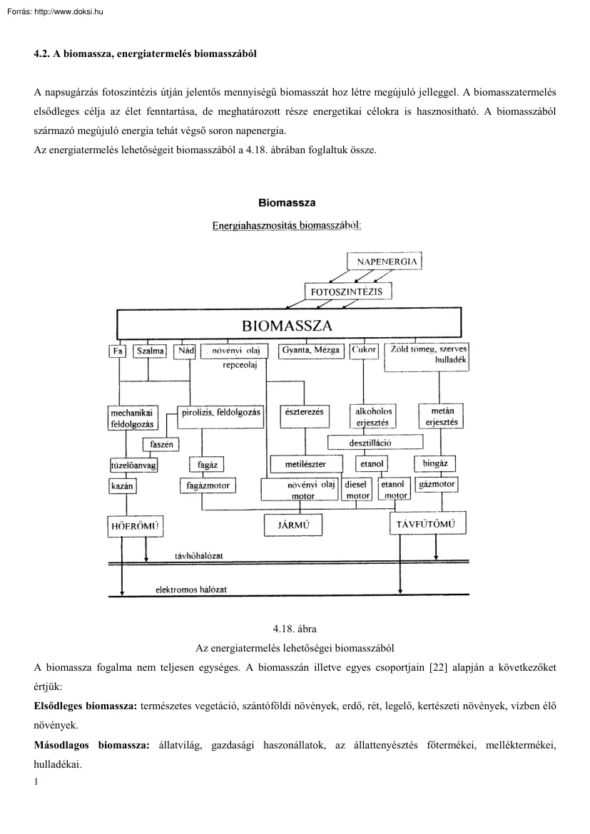 A biomassza, energiatermelés biomasszából