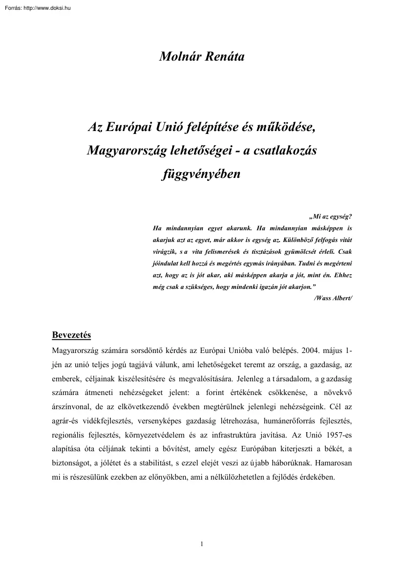 Molnár Renáta - Az Európai Unió felépítése és működése