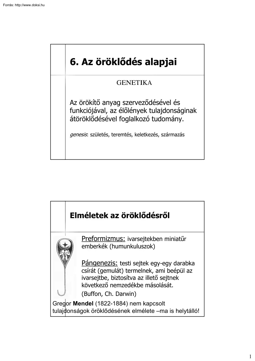 Az öröklődés alapjai