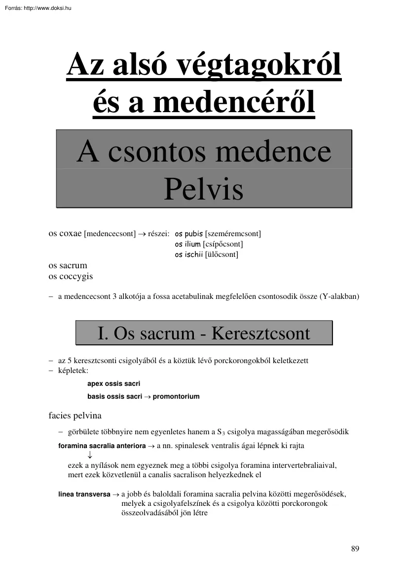 Az alsó végtagokról és a medencéről