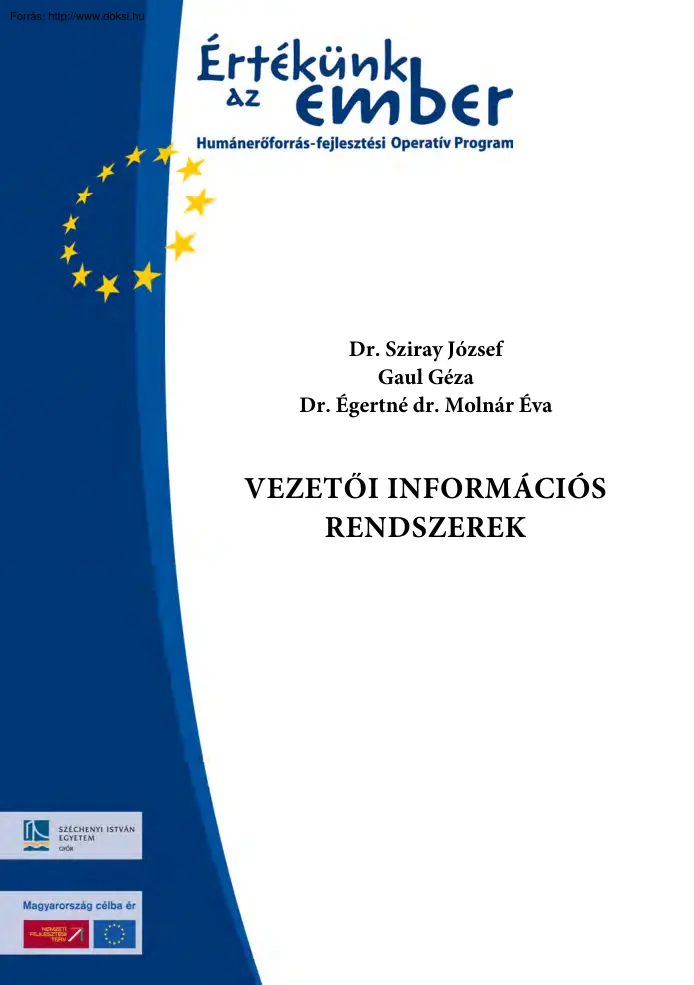 Sziray-Gaul - Vezetői információs rendszerek