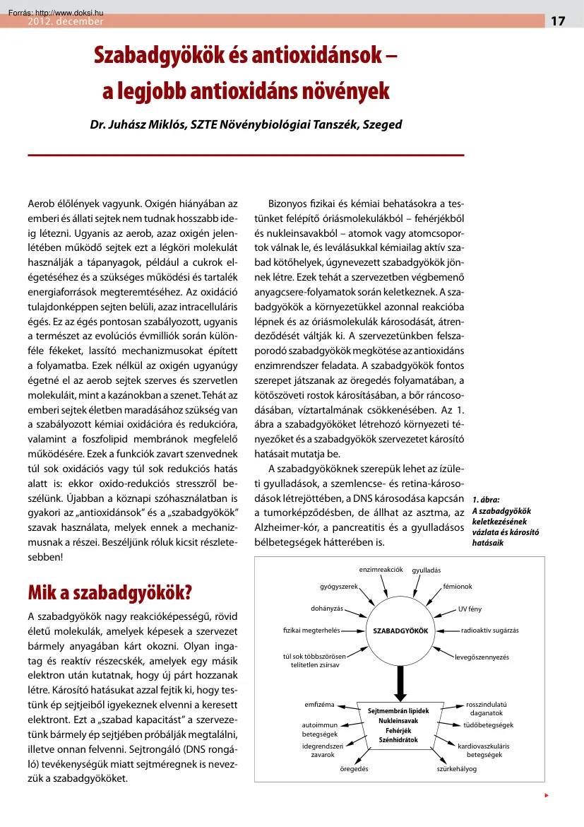 Dr. Juhász Miklós - Szabadgyökök és antioxidánsok, a legjobb antioxidáns növények