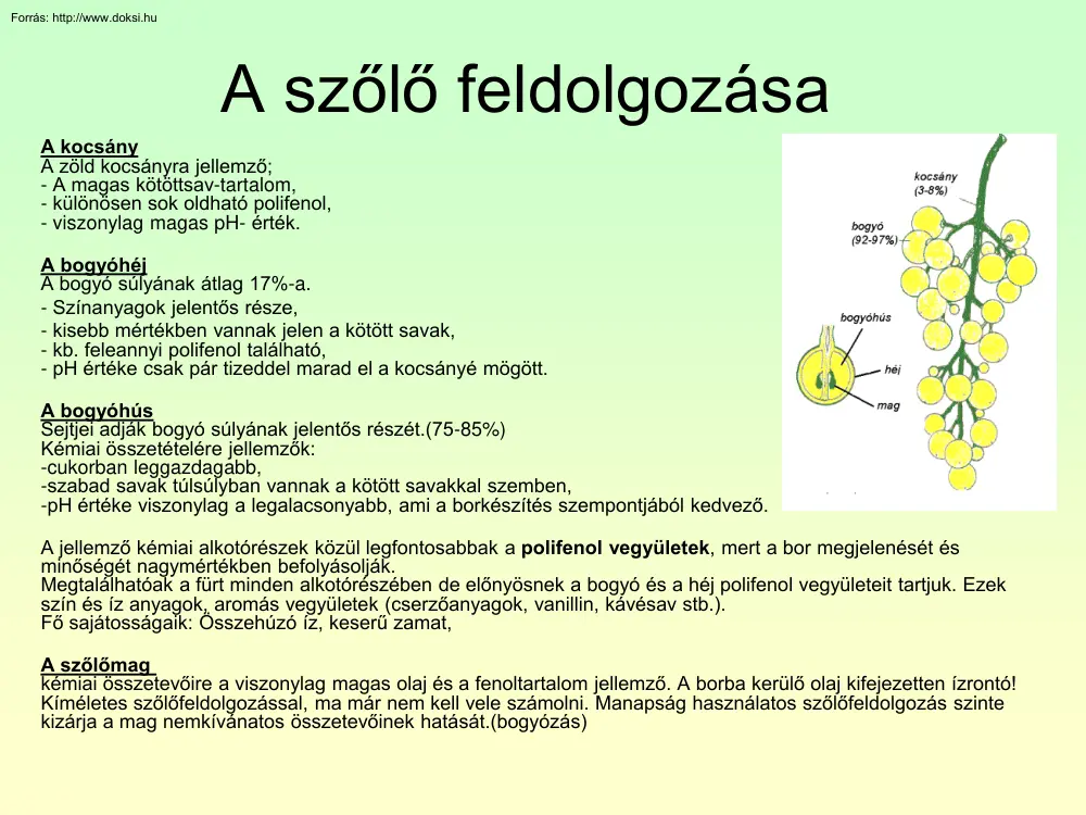 A szőlő feldolgozása
