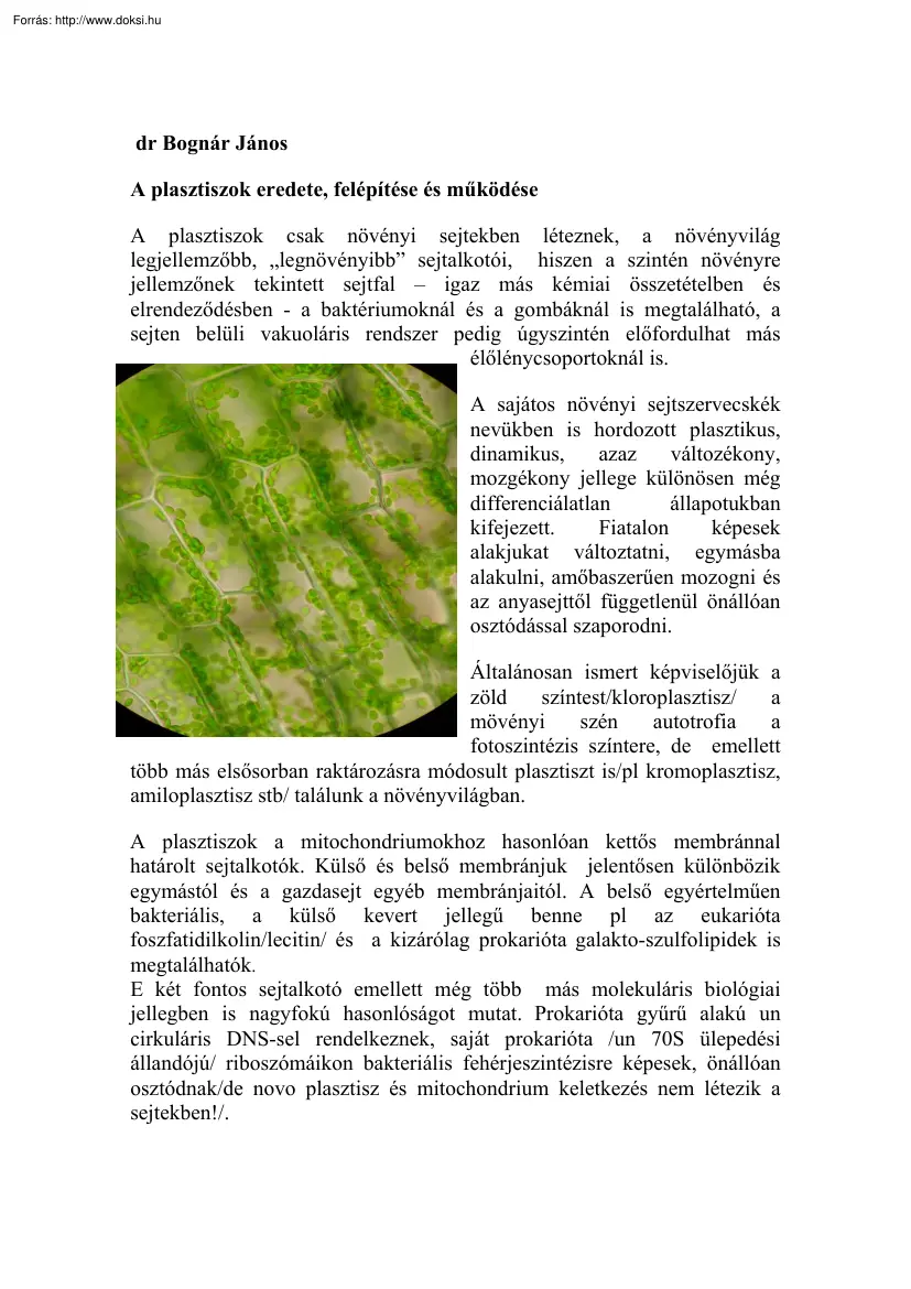 dr. Bognár János - A plasztiszok eredete, felépítése és működése