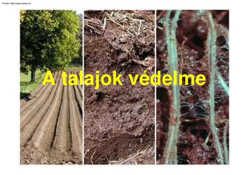 A talajok védelme
