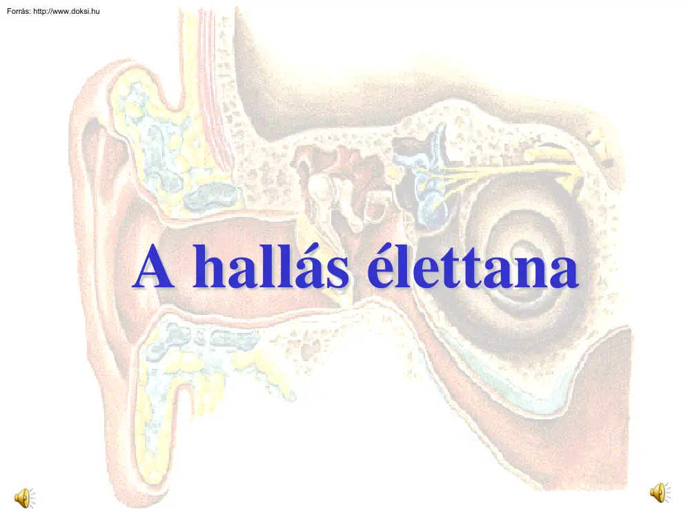 A hallás élettana