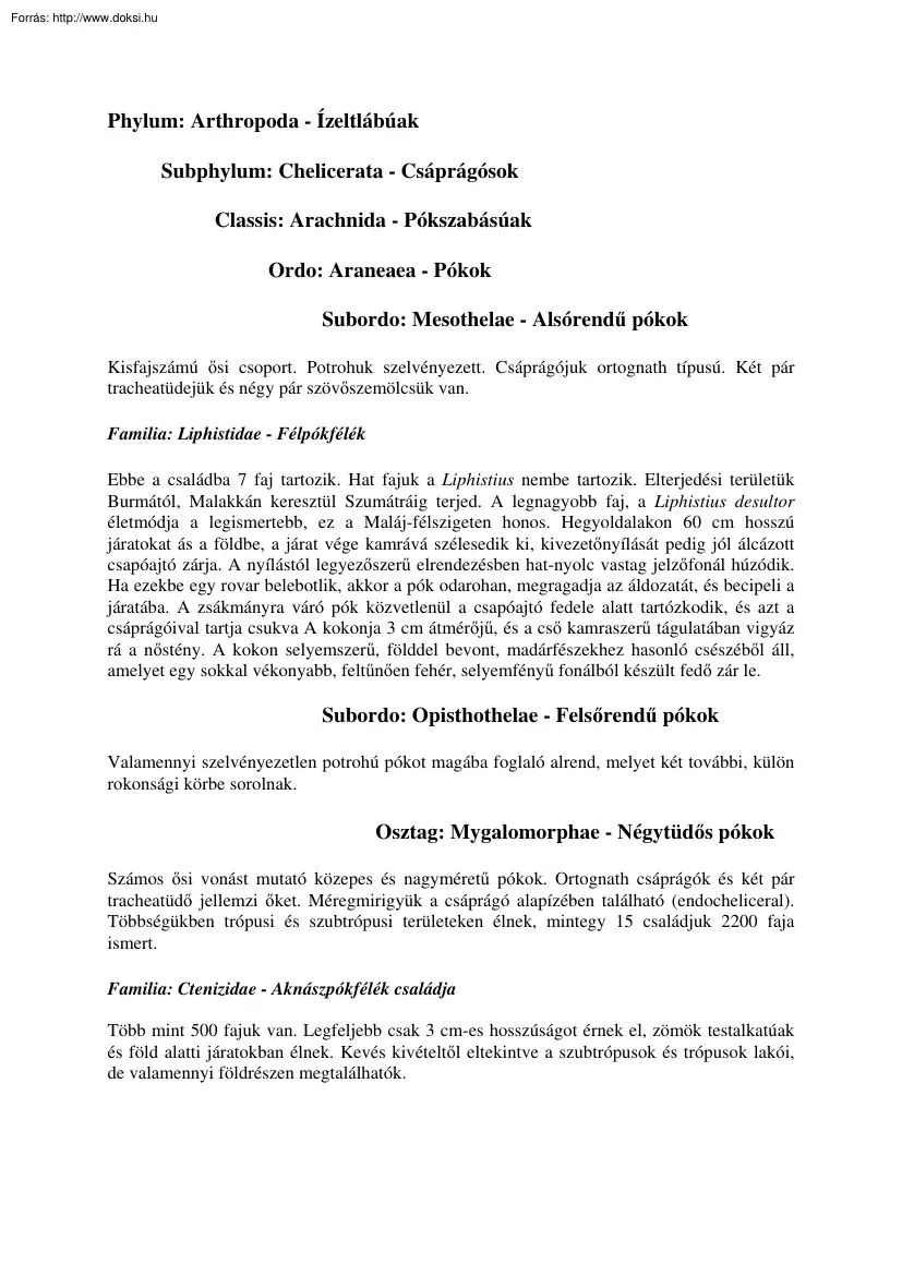 Alsórendű pókok