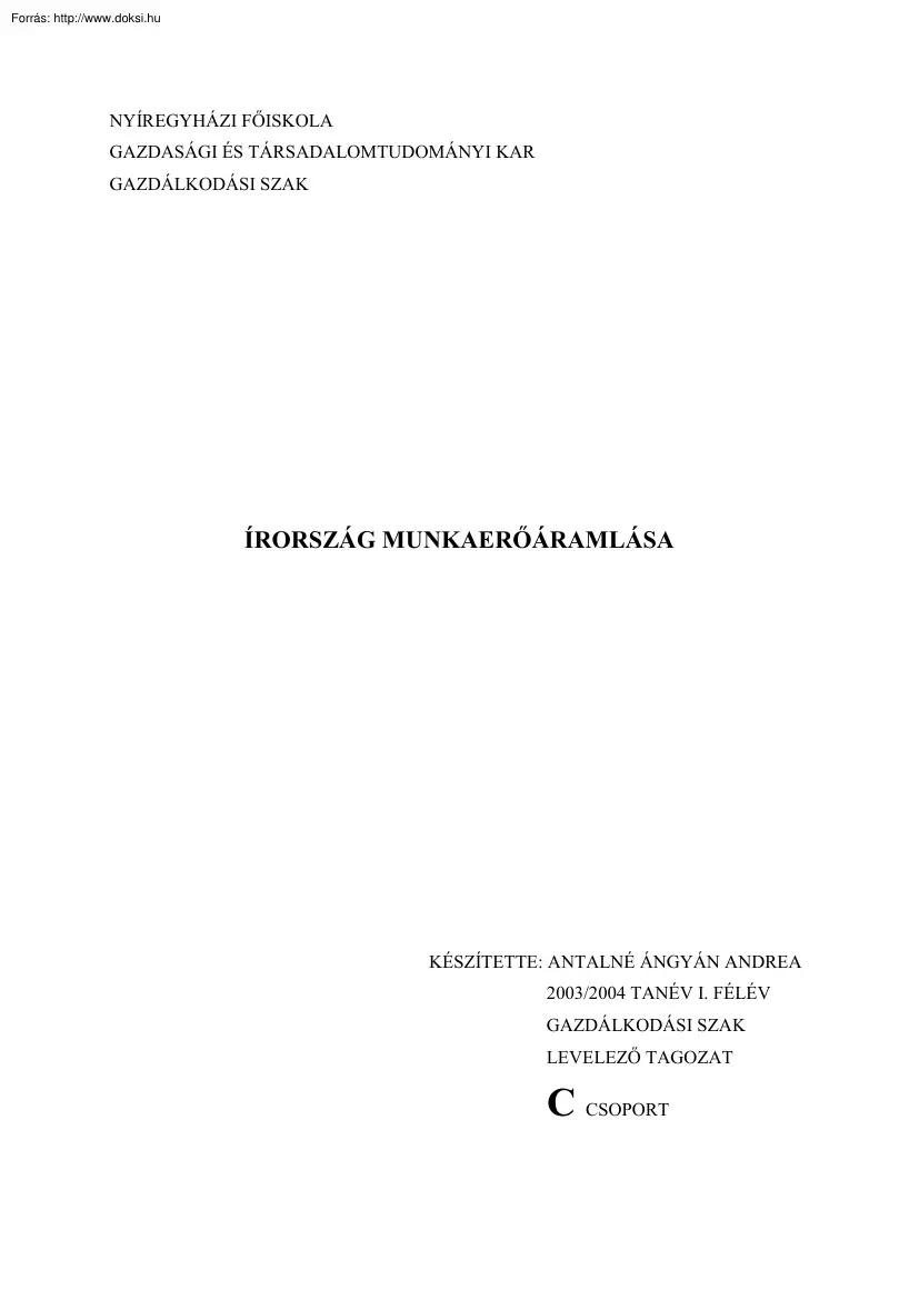 Antalné Ángyán Andrea - Írország munkaerőáramlása