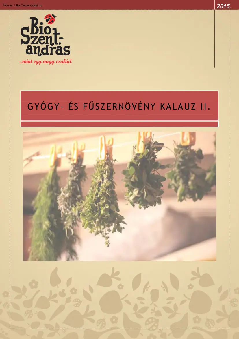 Gyógy- és fűszernövény kalauz II