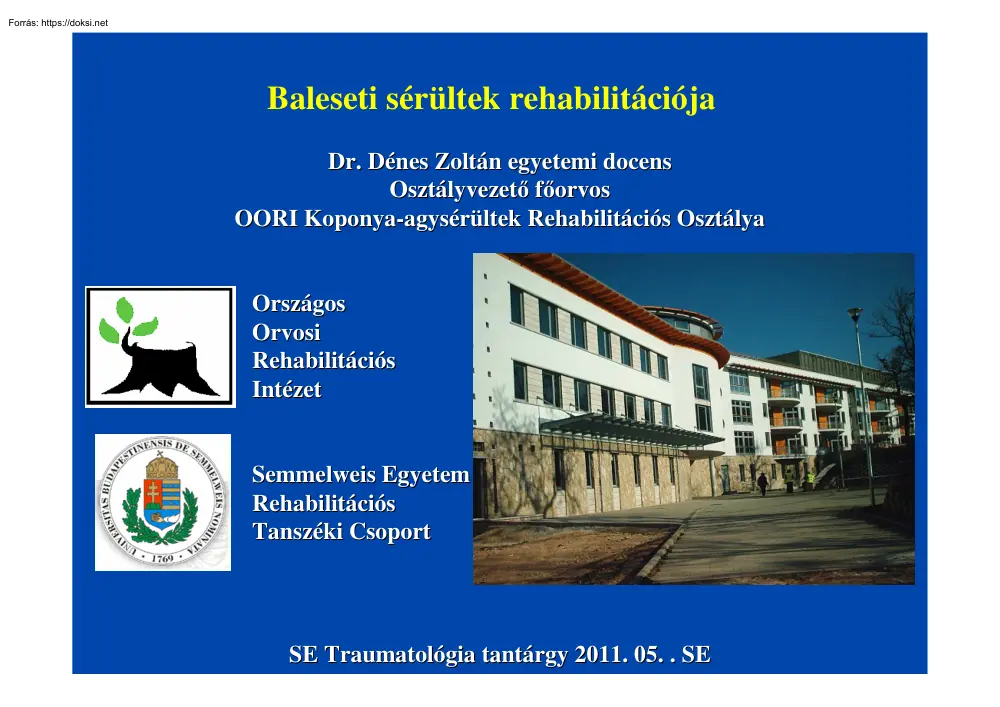 Dr. Dénes Zoltán - Baleseti sérültek rehabilitációja