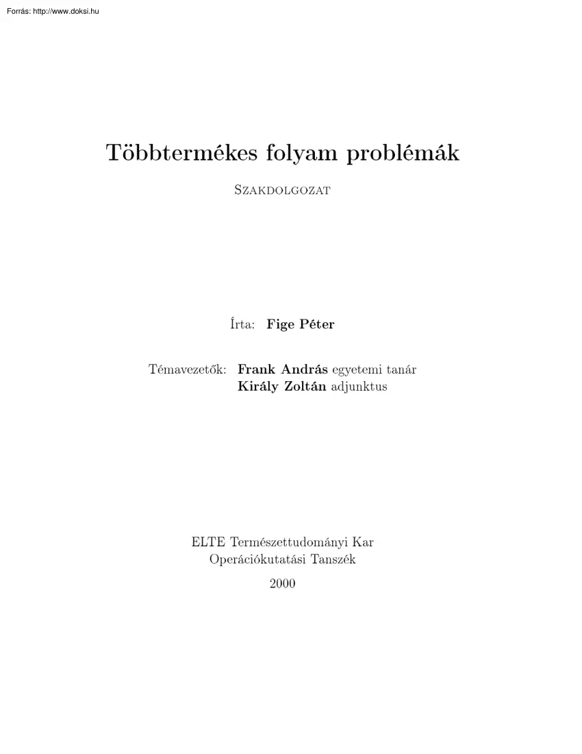 Fige Péter - Többtermékes folyamproblémák