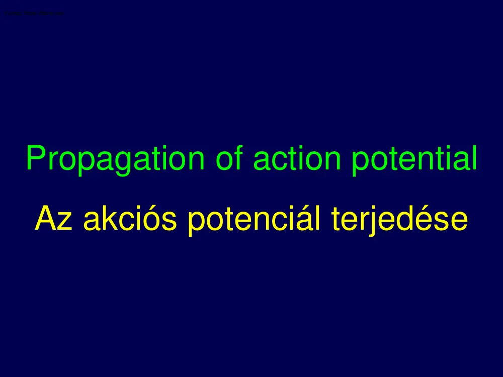 Az akciós potenciál terjedése