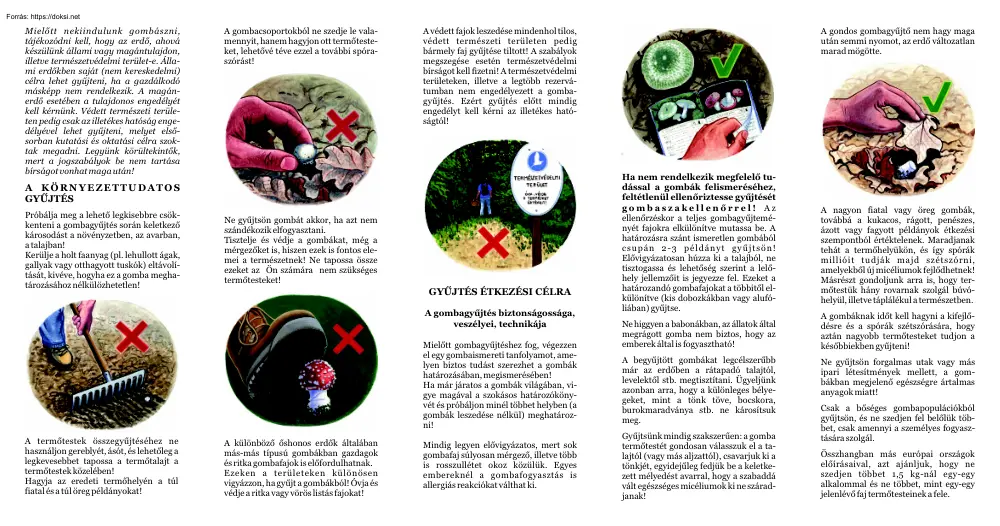 A vadon élő gombák gyűjtési kódexe