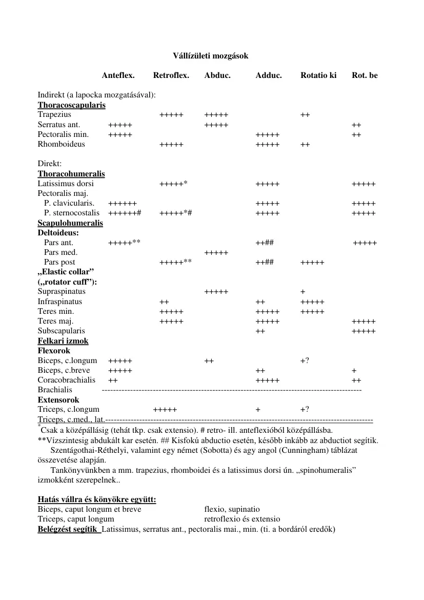 Vállizületi mozgások