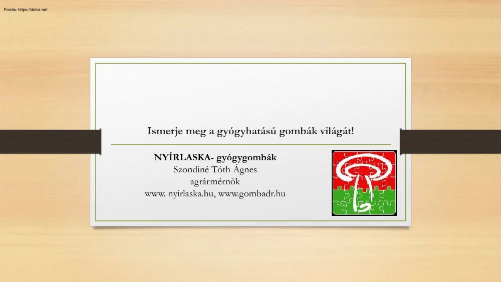 Szondiné Tóth Ágnes - Ismerje meg a gyógyhatású gombák világát, Nyírlaska-gyógygombák